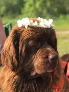 Превью фото № 236504