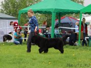 Превью фото № 236506