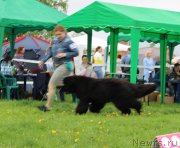 Превью фото № 236507