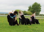 Превью фото № 236509