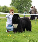 Превью фото № 236510