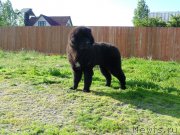 Превью фото № 236524