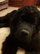 Превью фото № 236527