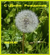 Превью фото № 236540