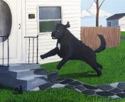 Превью фото № 236547