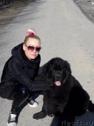 Превью фото № 236571