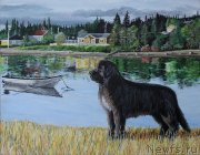 Превью фото № 236585