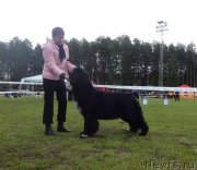 Превью фото № 236618