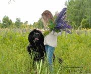 Превью фото № 236660