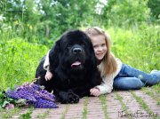 Превью фото № 236661