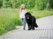 Превью фото № 236662