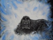 Превью фото № 236676