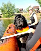 Превью фото № 236730