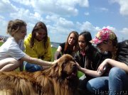 Превью фото № 236735