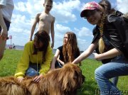 Превью фото № 236736