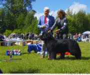 Превью фото № 236760