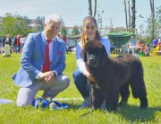 Превью фото № 236823