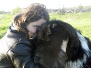 Превью фото № 236837