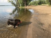 Превью фото № 236863