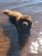 Превью фото № 236879