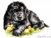 Превью фото № 236893