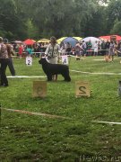 Превью фото № 236918