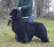 Превью фото № 236935