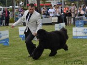 Превью фото № 236939