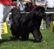 Превью фото № 236946