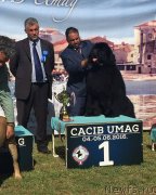 Превью фото № 236951