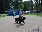 Превью фото № 236960