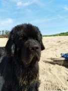 Превью фото № 236964