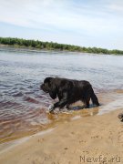 Превью фото № 236965