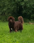 Превью фото № 236970