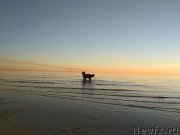 Превью фото № 236993