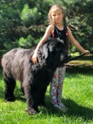 Превью фото № 237073