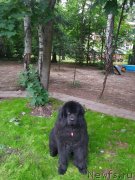 Превью фото № 237114