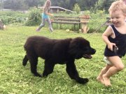 Превью фото № 237120