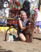 Превью фото № 237132