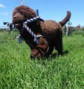 Превью фото № 237146