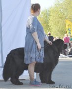 Превью фото № 237172