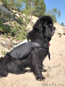 Превью фото № 237236