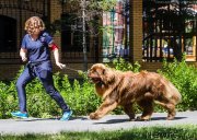 Превью фото № 237289