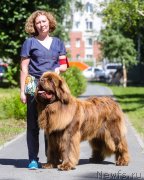 Превью фото № 237290