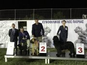 Превью фото № 237314