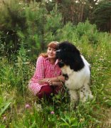 Превью фото № 237326