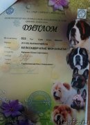 Превью фото № 237338