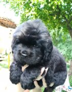 Превью фото № 237352