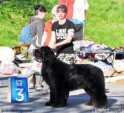 Превью фото № 237364