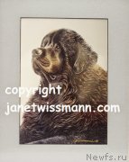 Превью фото № 237366